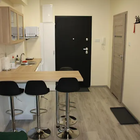 Apartment 44 Piotrkowska Street Lodz (Lodz)
